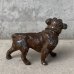 画像2: VINTAGE ANTIQUE BULLDOG  OBJECT ヴィンテージ アンティーク ブルドッグ オブジェ / コレクタブル ディスプレイ インテリア 犬 置物 小物 雑貨 アメリカ USA (2)