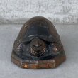 画像2: VINTAGE ANTIQUE TURTLE JAPANNED  ヴィンテージ アンティーク 亀 ジャパンフィニッシュ ジャパンカラー オブジェ / コレクタブル オブジェ ディスプレイ ジャパンド 置物 アメリカ (2)