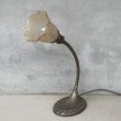 画像1: VINTAGE ANTIQUE DESKLAMP ALADDIN ヴィンテージ アンティーク デスクライト スタンドライト テーブルランプ 卓上ライト 照明 / グースネック ガラスシェード インテリア 店舗什器 アメリカ USA (1)