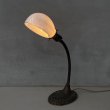 画像11: VINTAGE ANTIQUE DESKLAMP ALADDIN MFG Co. ヴィンテージ アンティーク デスクランプ スタンドライト 卓上ライト 照明 / ミルクガラスシェード グースネック アメリカ (11)