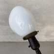 画像5: VINTAGE ANTIQUE DESKLAMP TREBOR MFG CO. ヴィンテージ アンティーク デスクランプ スタンドライト テーブルランプ 卓上ライト 照明 / ミルクガラスシェード グースネック アメリカ (5)